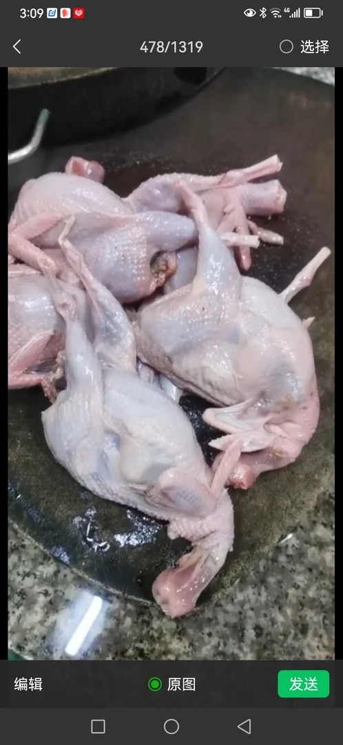 鹧...鸪 杂鸟  现宰活鲜6只一包  顺丰包邮