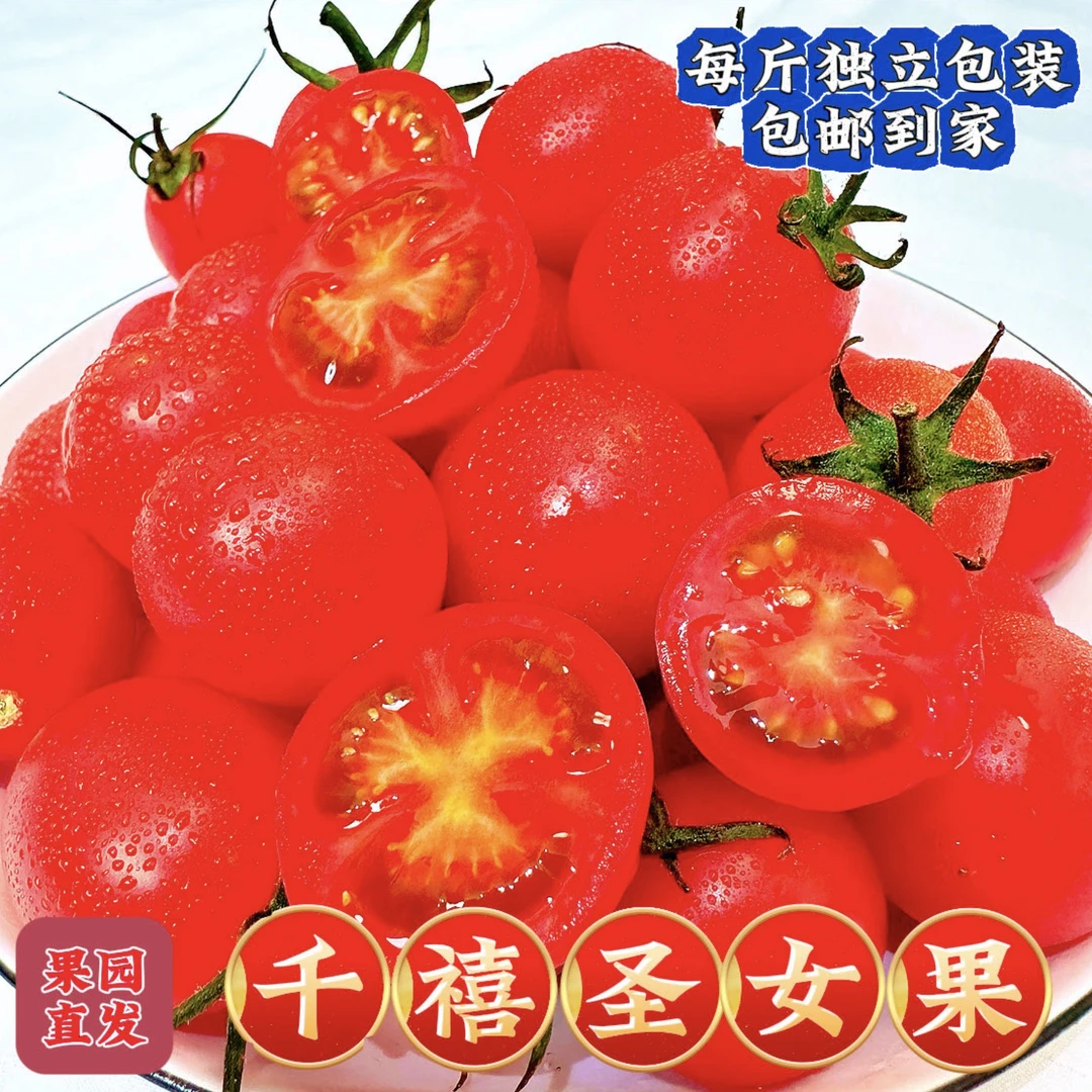 d山东千禧圣女果4-4.5斤/樱桃小番茄西红柿/当季时令孕妇水果