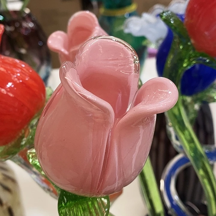 玫瑰花高45厘米左右