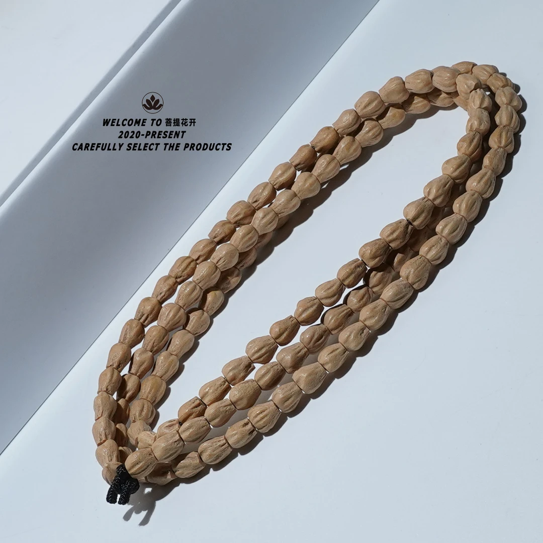 热振小高桩高规整度（大长腿）柏香籽长串