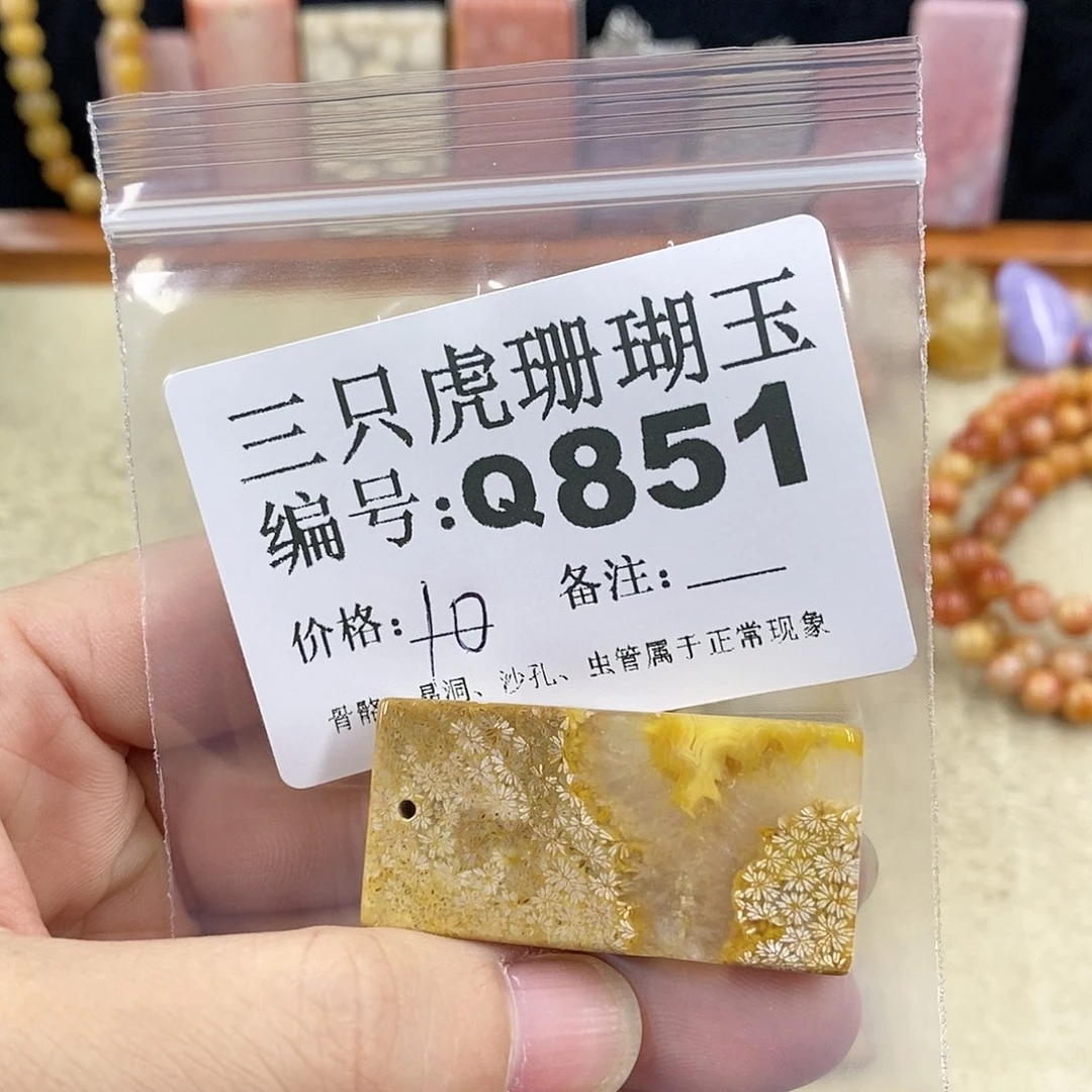 硅化珊瑚（珊瑚玉）1未镶嵌沙**儿