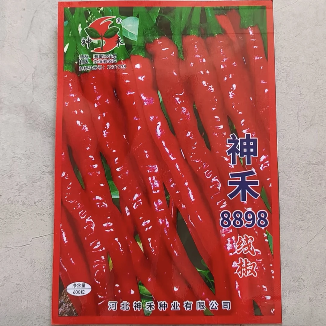 线椒种子干鲜两用8898线椒