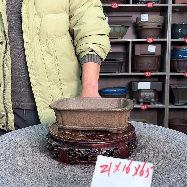 紫砂花盆树*紫砂的味道很好