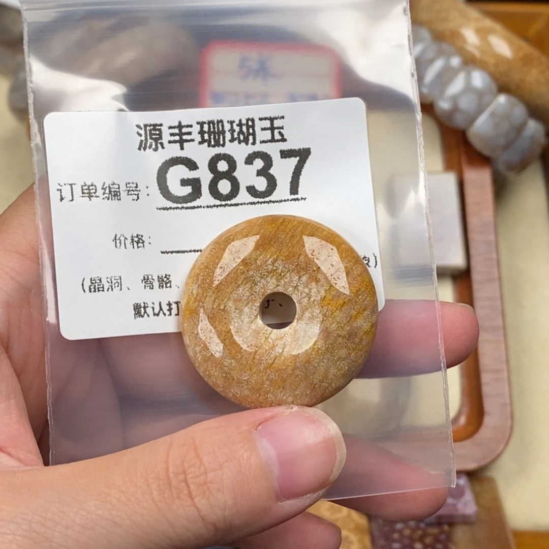 硅化玉颈饰未镶嵌٩****۶