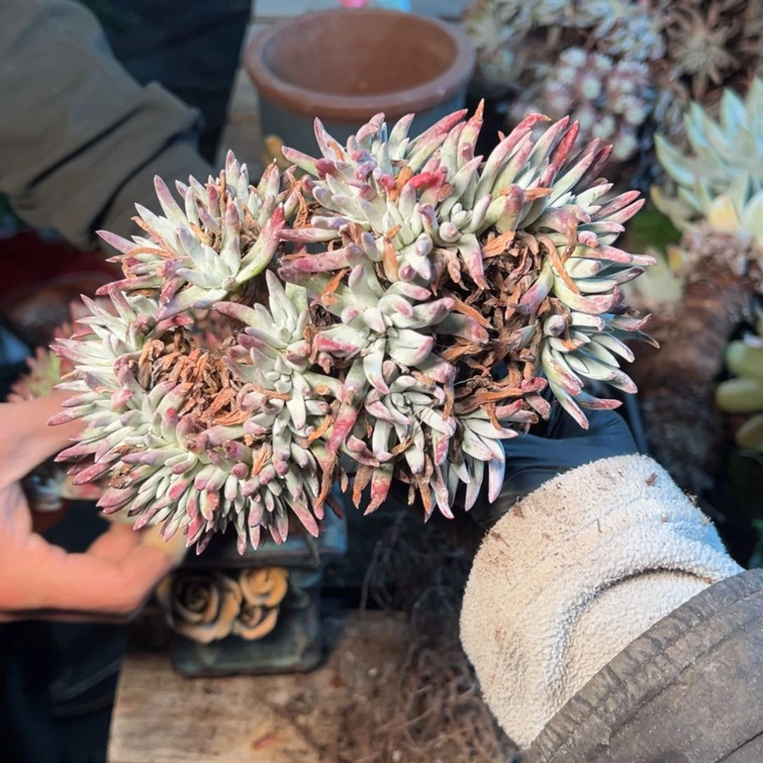 8483哈哈哈哈哈哈哈哈