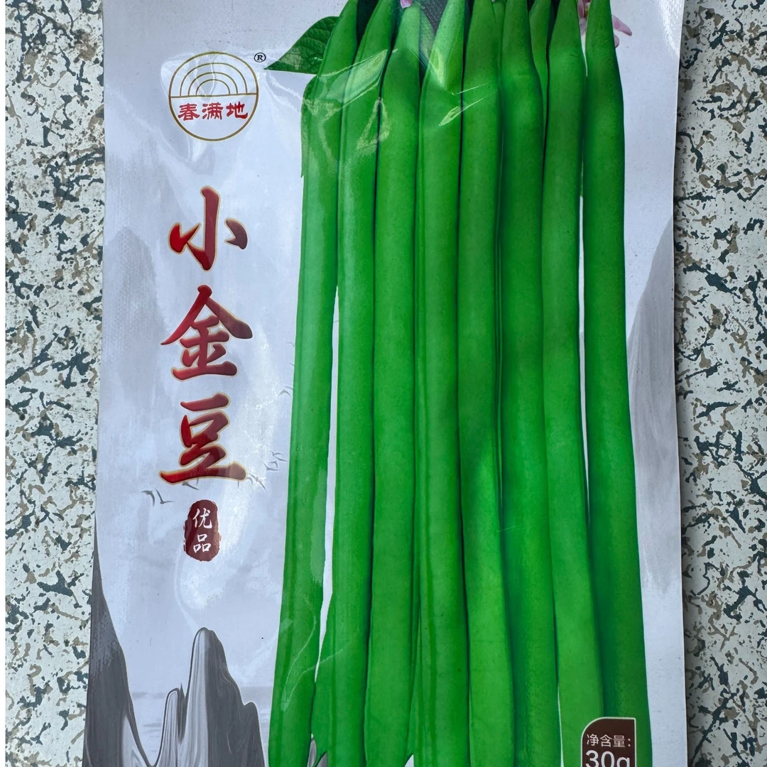 春满地小金豆四季豆