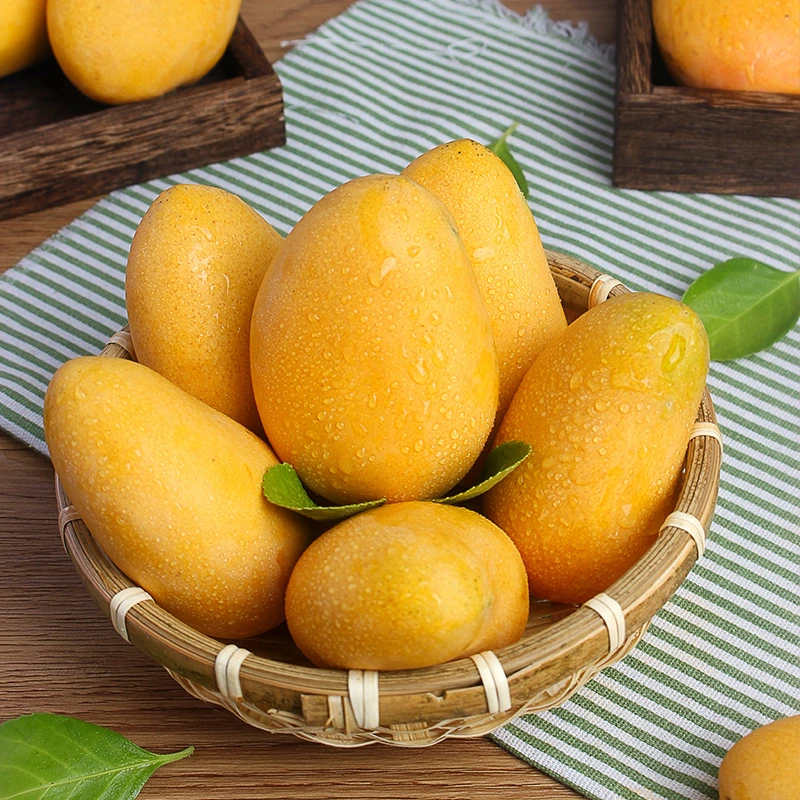 TJZ海南小台农芒果新鲜现摘小台芒应季热带水果芒果