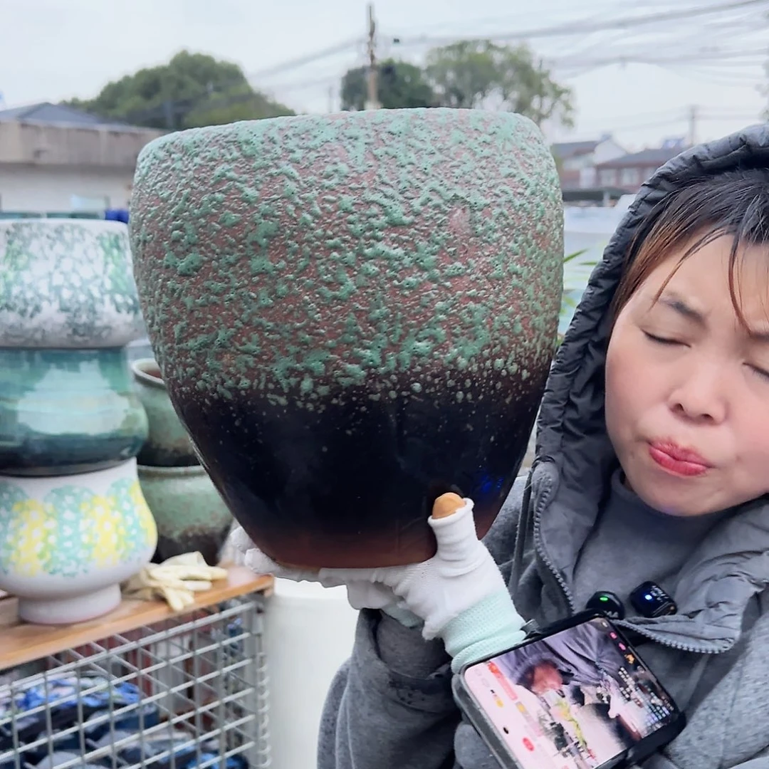 王嫂花盆直播1117-313高27口25