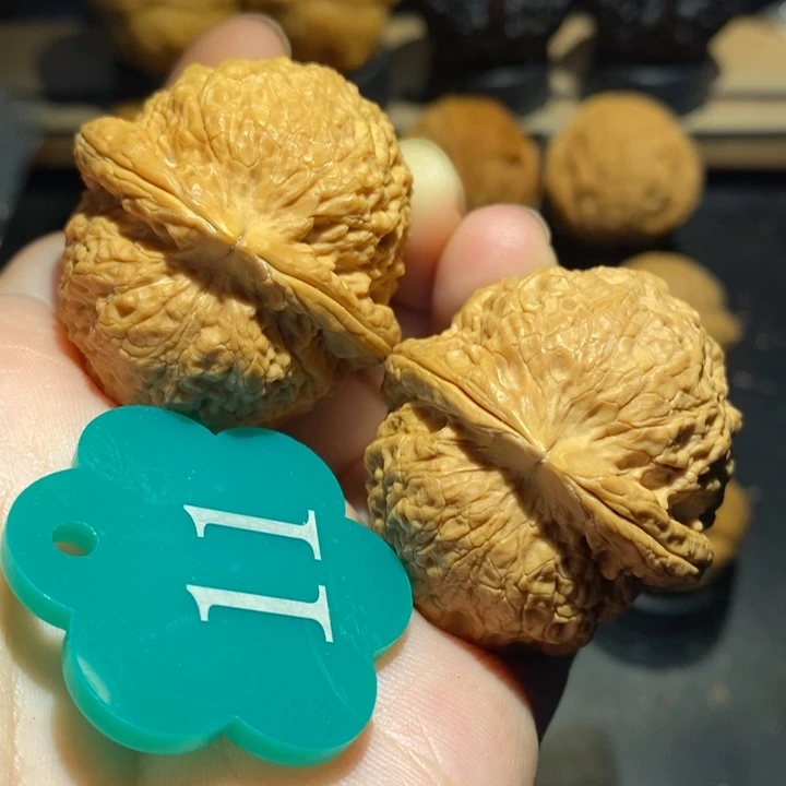 铁狮子41尺寸核桃