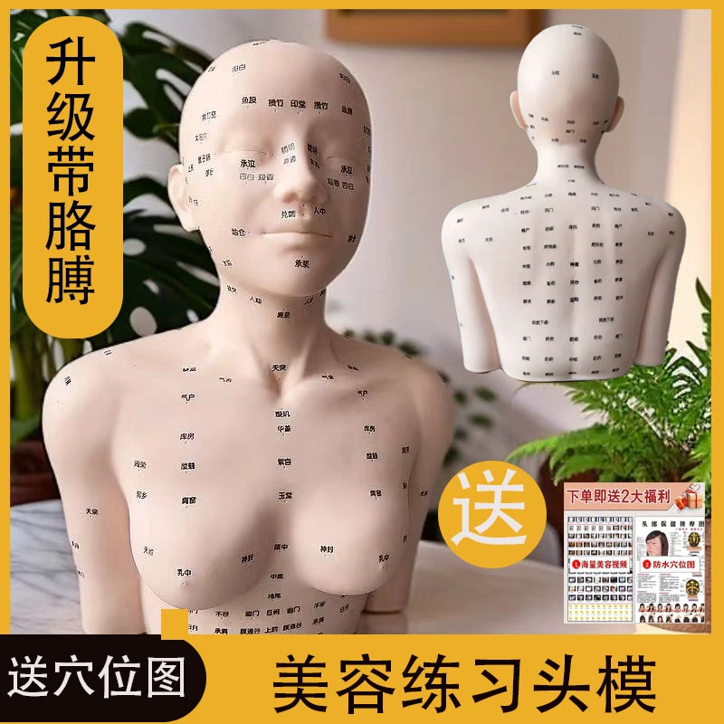 凯涵皮肤管理头模美容院练习按摩推拿手法洗脸美容模具带肩膀软质