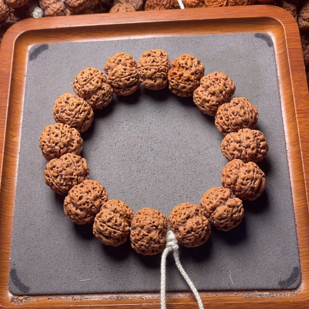 菩提24号金刚菩提梅花蜂窝豆腐块24