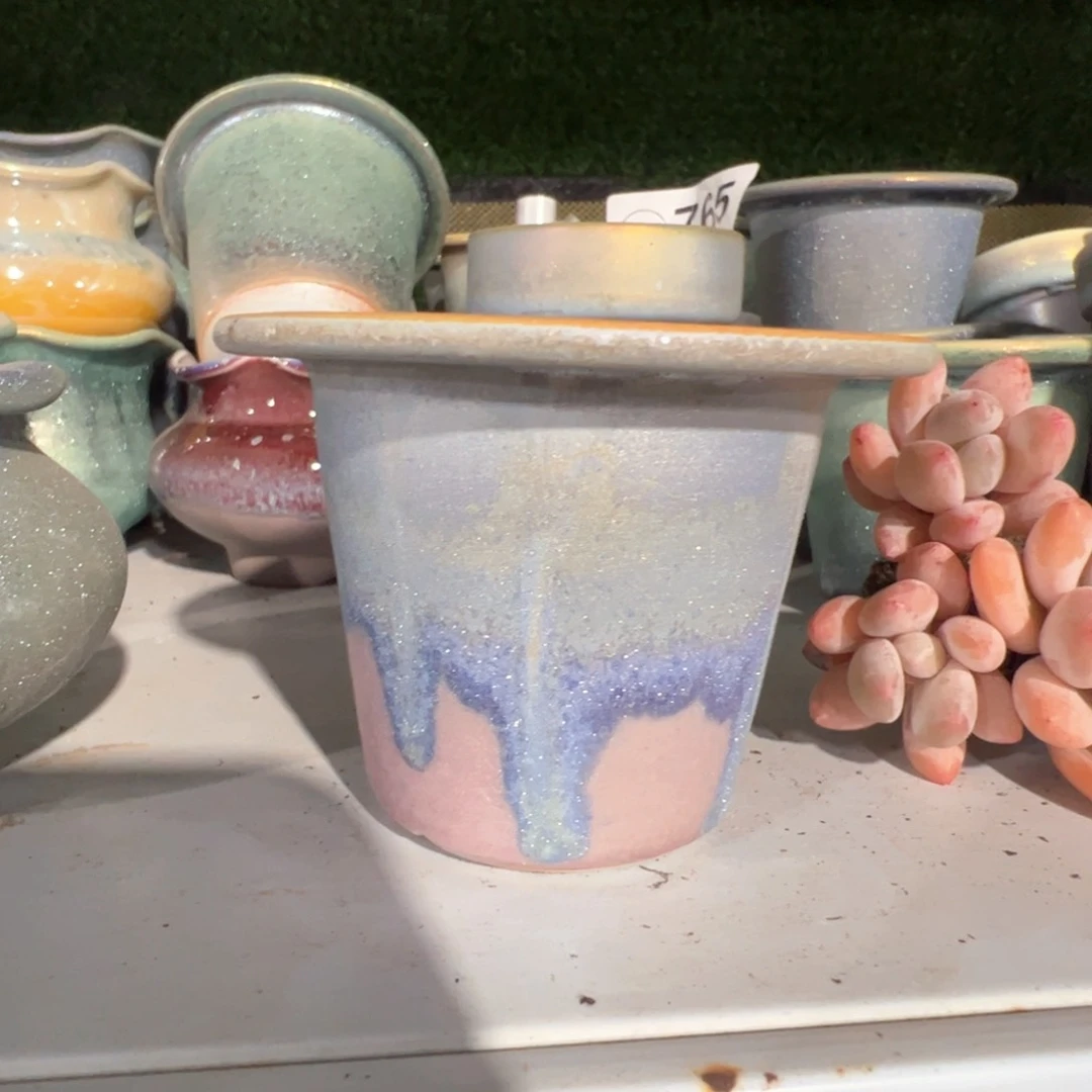 特价花盆 满50发货 内口6