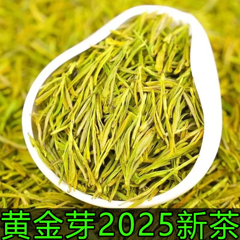 2025年新茶黄金芽绿茶茶业250g罐装