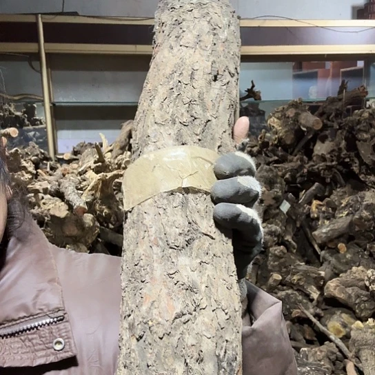 香榧木聚****板火琉璃的毛料摆件