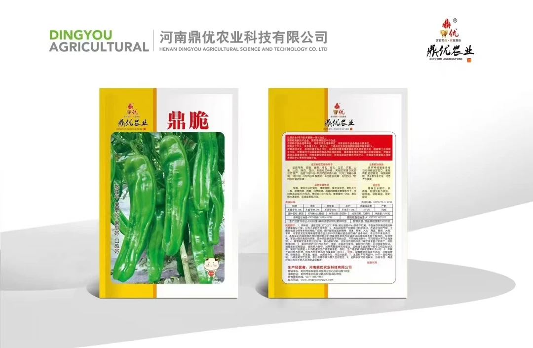 鼎脆 1000粒装春秋大棚，春露地，高山越夏栽培的精品薄皮椒品种