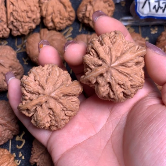 文玩核桃手把件45尺粗筋