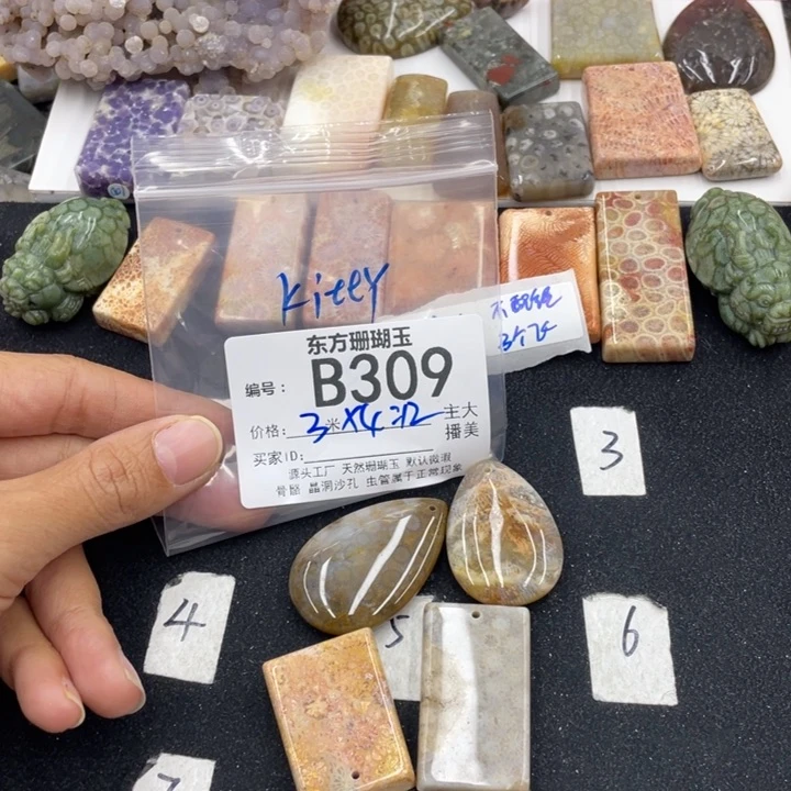 硅化珊瑚（珊瑚玉）颈饰合金K***y