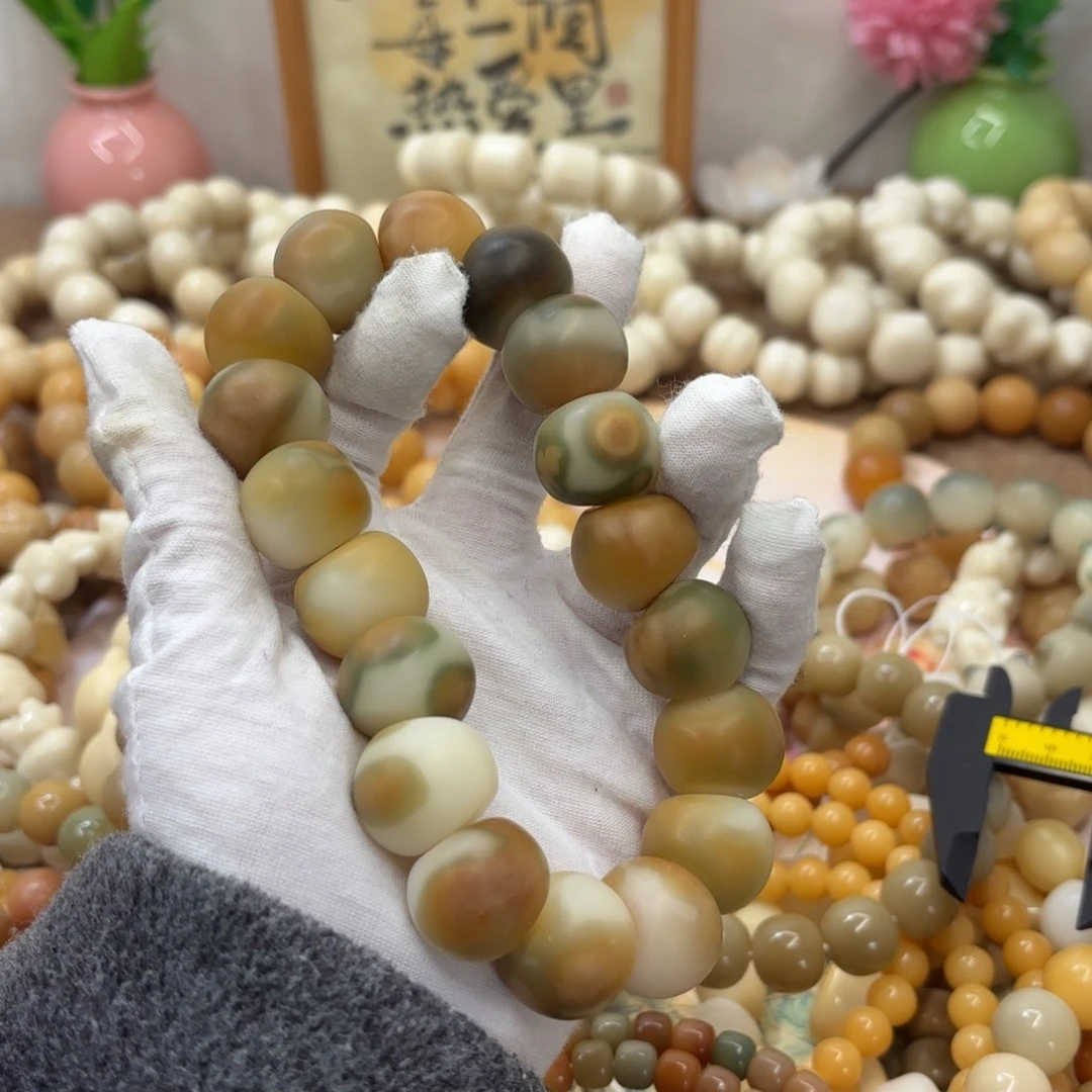 吊坠菩提根/象牙果20干磨瑕疵落地果肠253