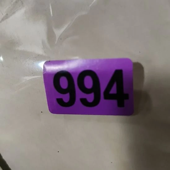 活***彩民俗文化研究研究