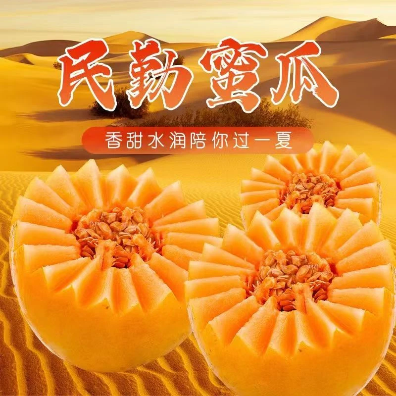 正宗头茬沙漠民勤蜜瓜应季新鲜水果原产地现摘现发包邮