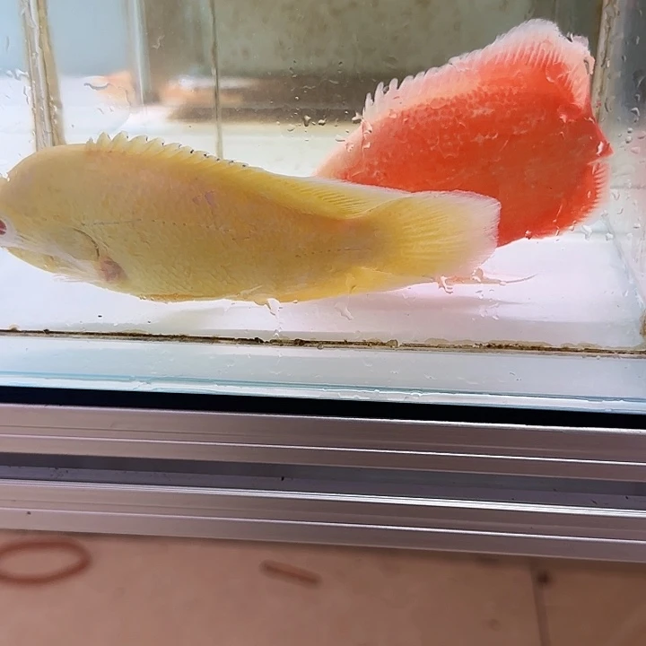 艳***：海水啊啊啊啊啊啊啊啊啊