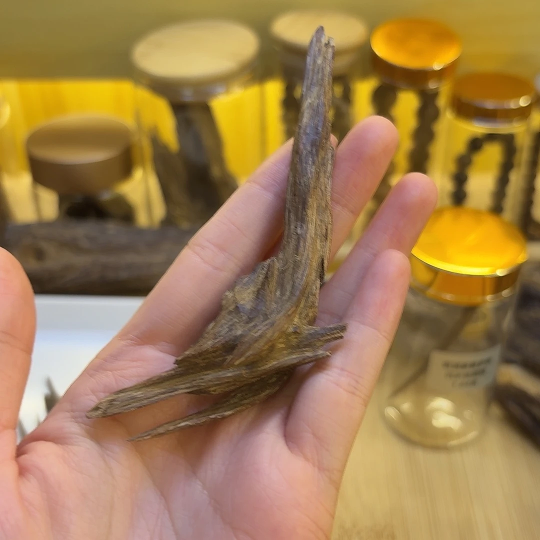 8***6香港沉香纽结树心3.85克