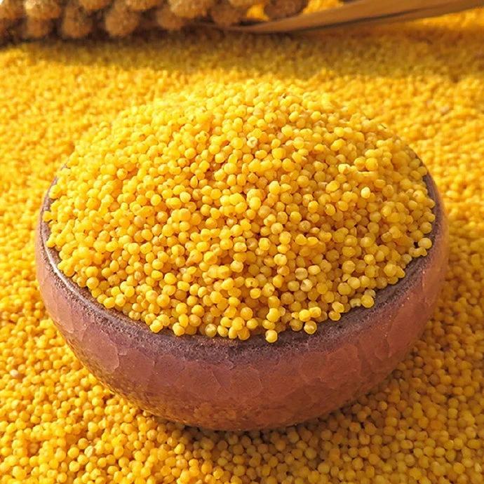 东北大金苗K1黄小米 真空小包装1斤*5块总共5斤黄小米米砖