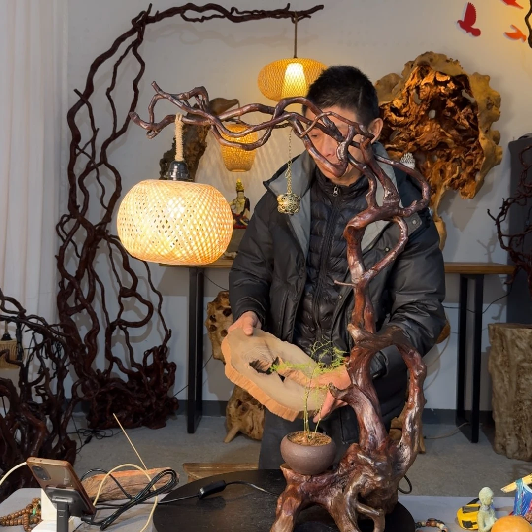 王***军香榧木重中之重77777就是