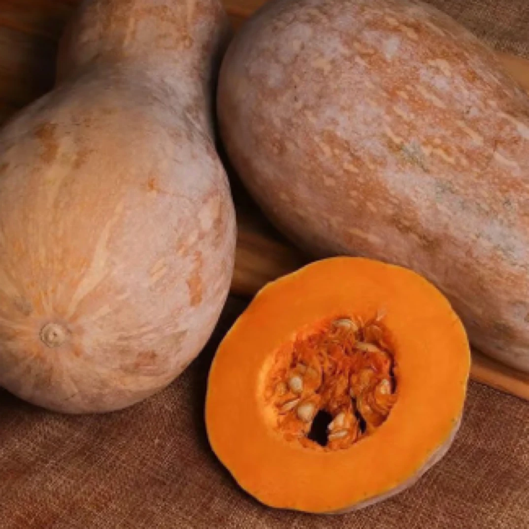 老南瓜1000g（可切）南瓜同城送