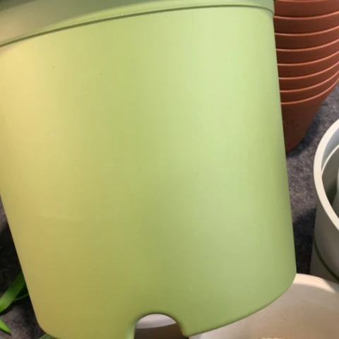 树脂5加果绿无托3个