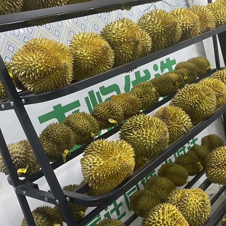 （达人号）【榴莲小时达】3号金枕鲜榴莲1个（3-8斤）一物一拍，泰国核小金枕泰国