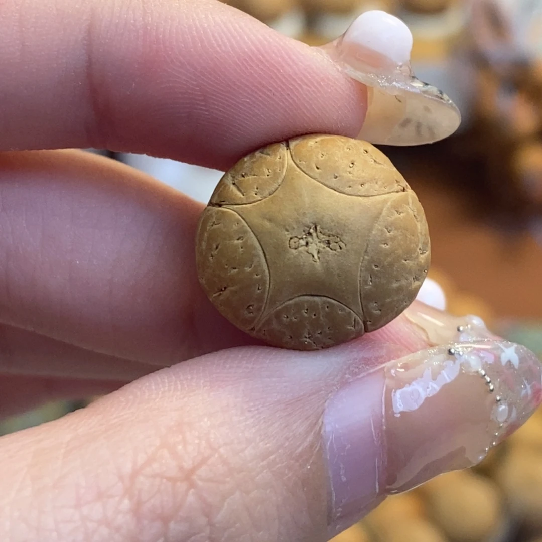 凤眼菩提吊坠五星