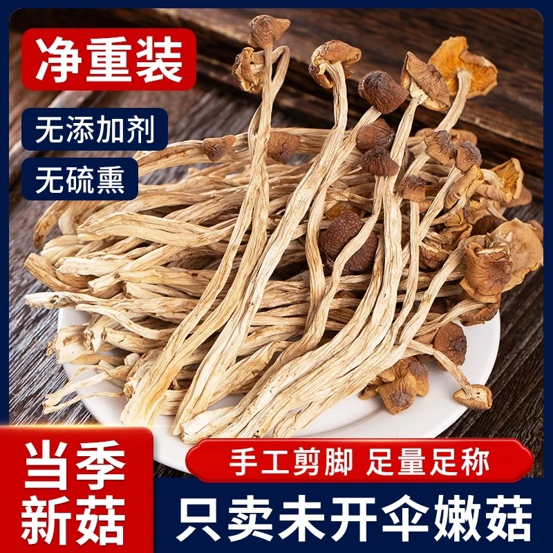 当季新货大朵茶树菇干货农家新货煲汤炖鸡汤佳品