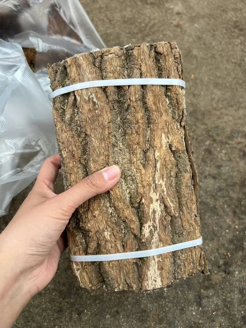 （2朵金花）云南杜仲皮一斤装