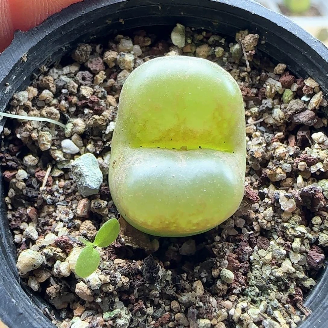 哆***哆哈哈哈哈哈哈哈43420