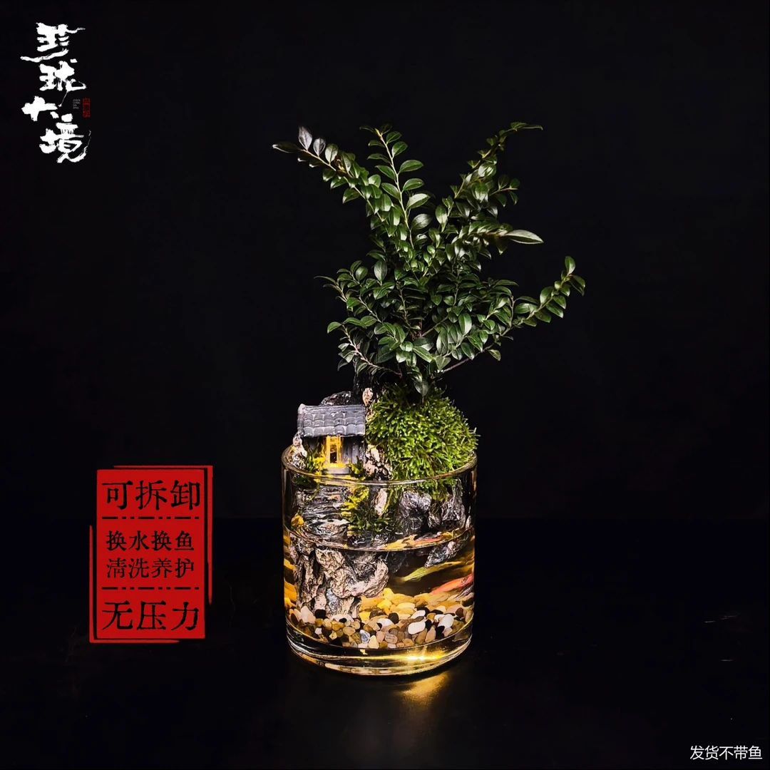 [开门迎财]丛林紫檀创意真绿植室内禅意国风摆件带灯鱼缸12*12cm