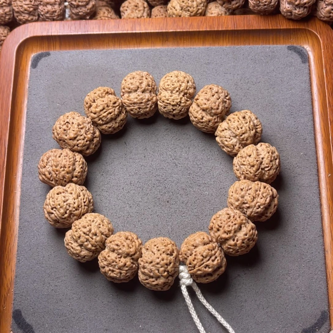 菩提籽类34号金刚菩提深沟粗筋梁梅花25