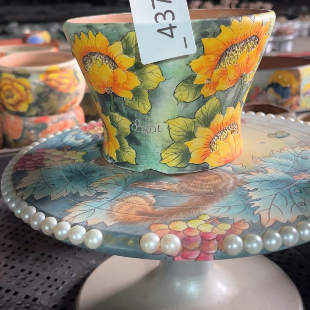 红陶奶**龙437花盆1个