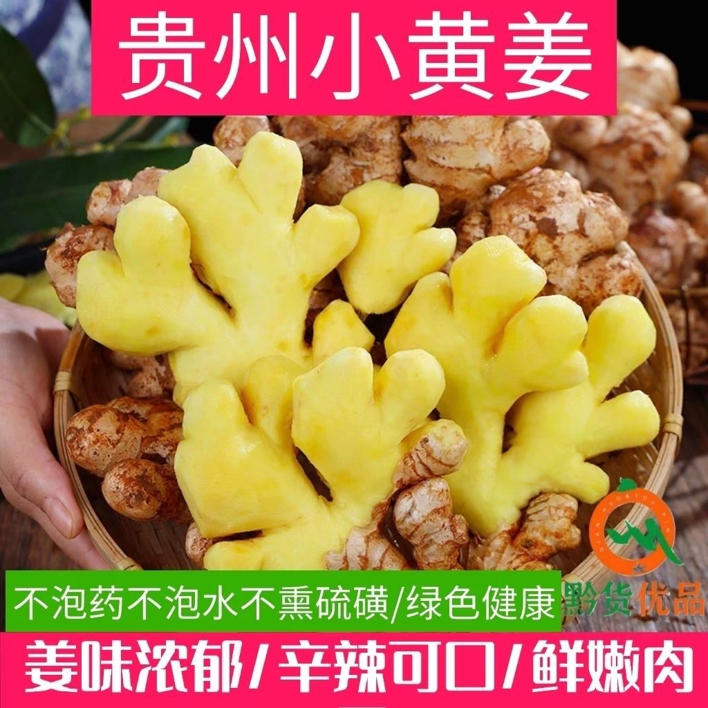 贵州小黄姜新鲜现挖生姜食用姜家用商用辛辣浓郁老姜当季新鲜蔬菜