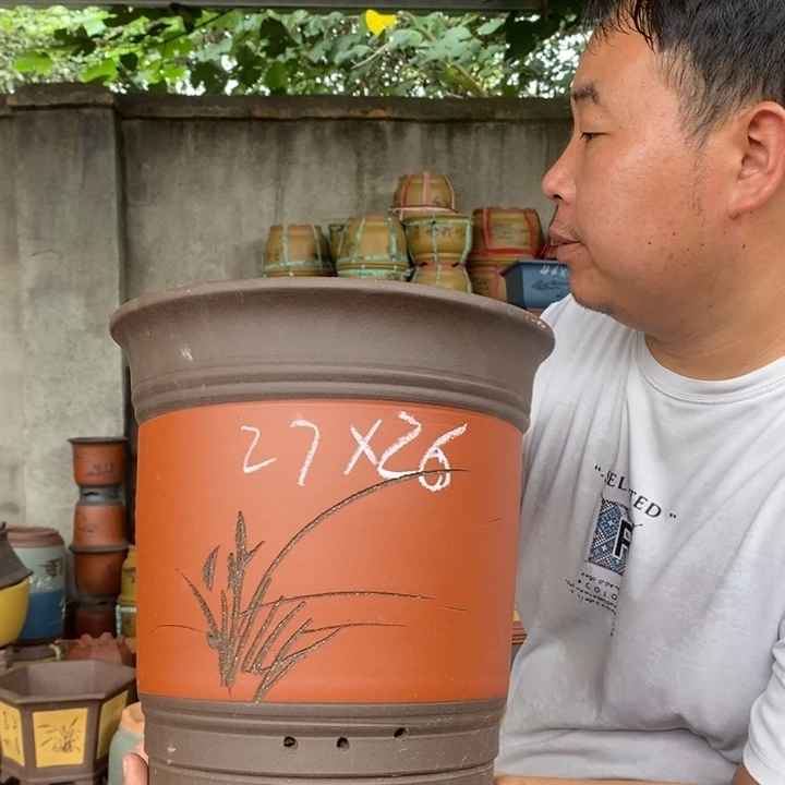 紫砂花盆盆栽花卉苗木