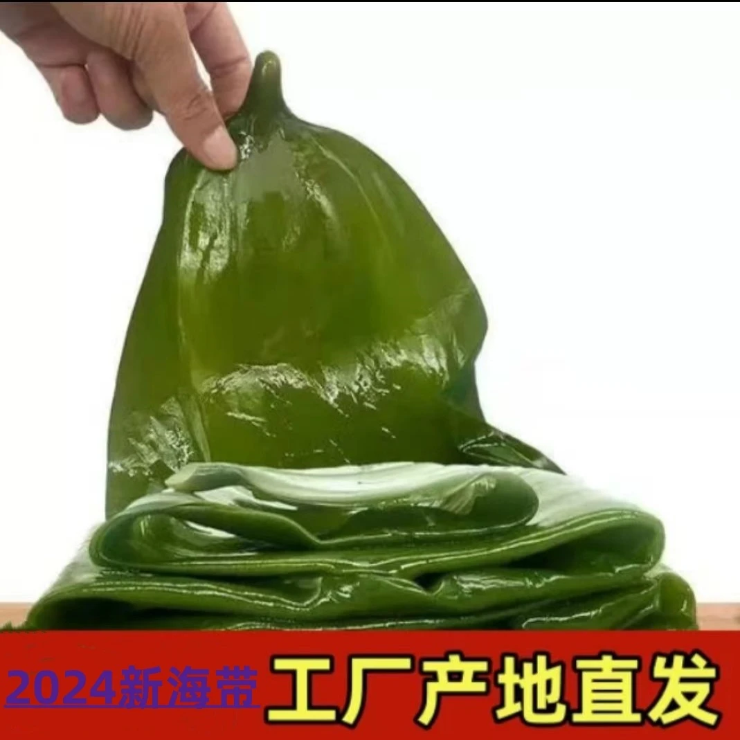 大连新鲜嫩鲜海带5斤/箱（含箱5斤）