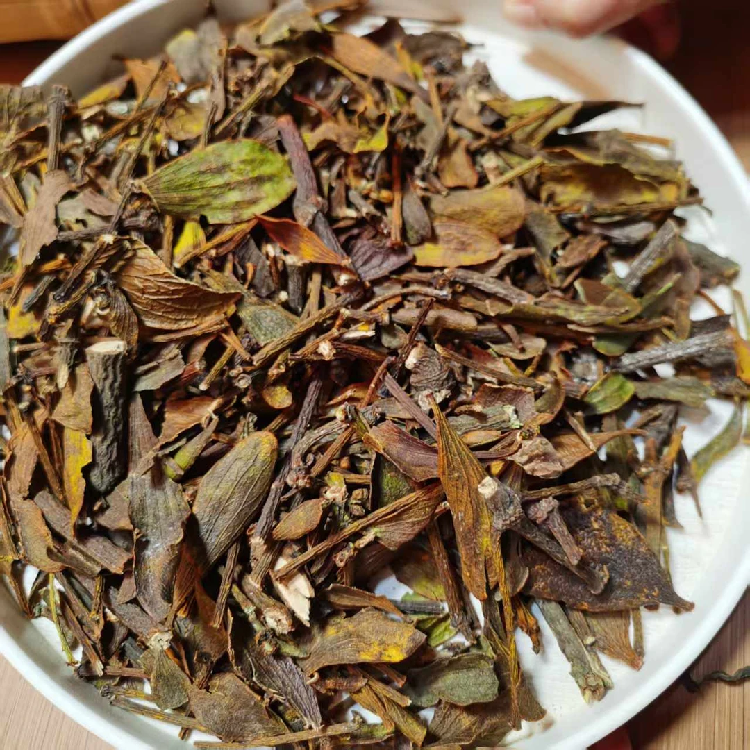云南核桃精灵寄生茶核桃树寄生草核桃冬青（500g）2月23【14号】