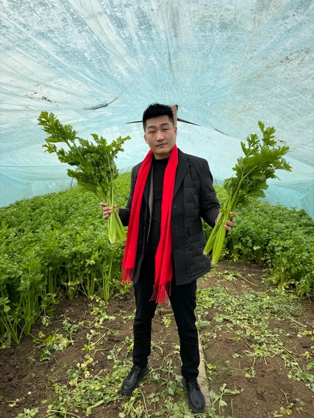 【图老七专属】大爷家自己种植的芹菜