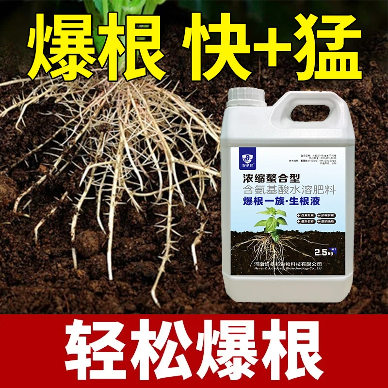 生根液爆根一族浓缩螯合型猛生根原液瓜果蔬菜园艺大田作物通用