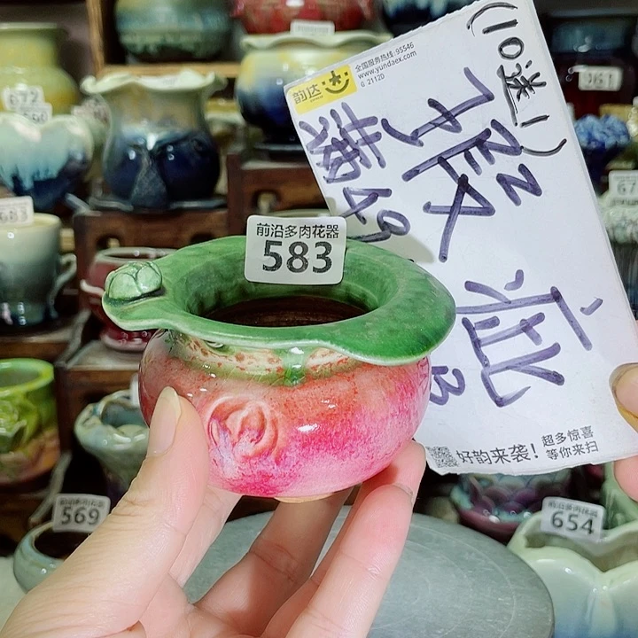 狼盆内口径5高度6