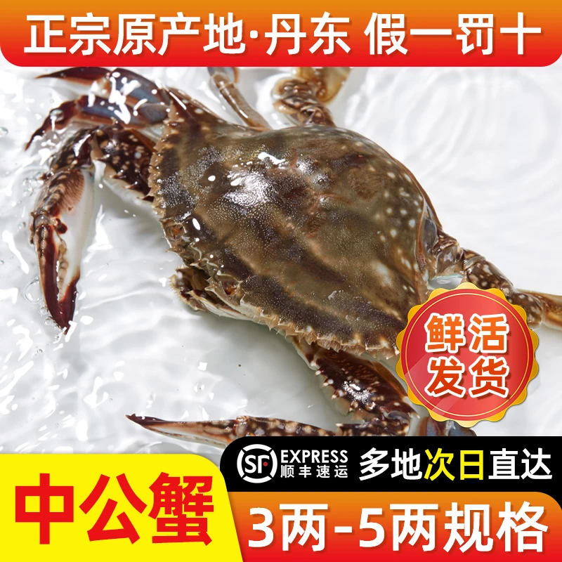 丹港红3斤7-9只/3-5两丹东东港野生梭子蟹中公蟹顺丰【保鲜不保活】