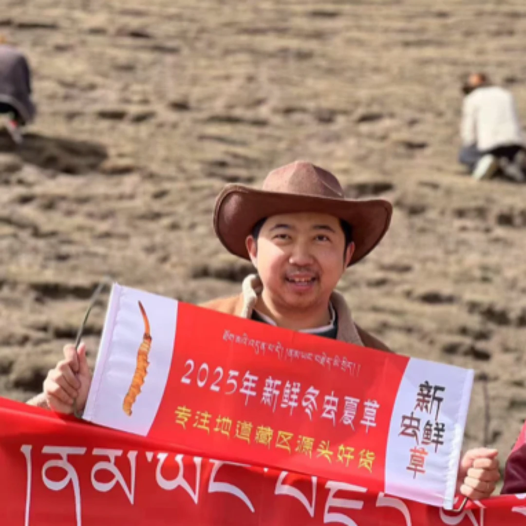 100【小扎西】2025年新鲜冬虫夏草