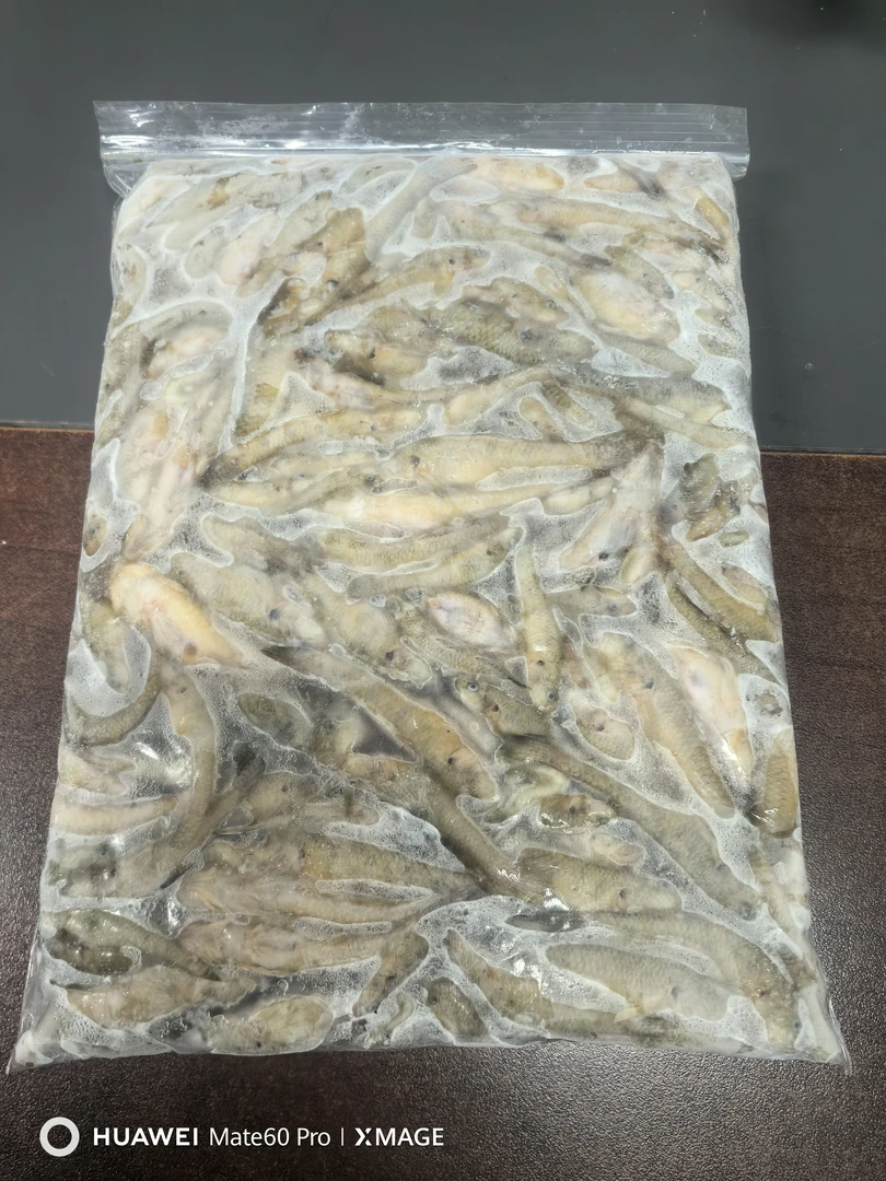 袋装山根鱼 冷链发货