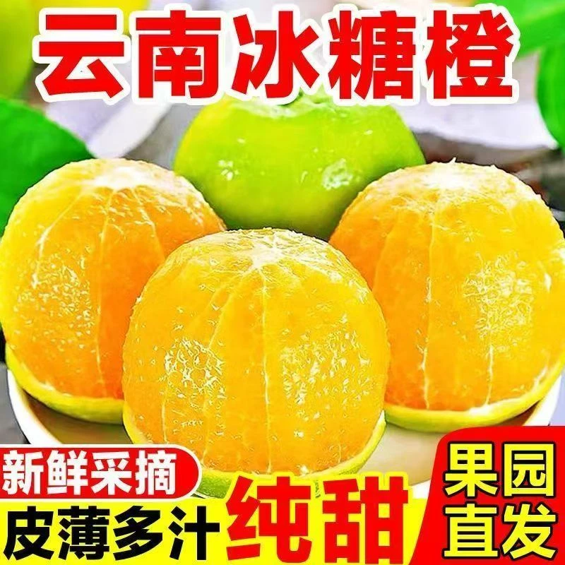 【2025鲜果】云南青皮冰糖橙新鲜应季水果现摘现发皮薄多汁清甜
