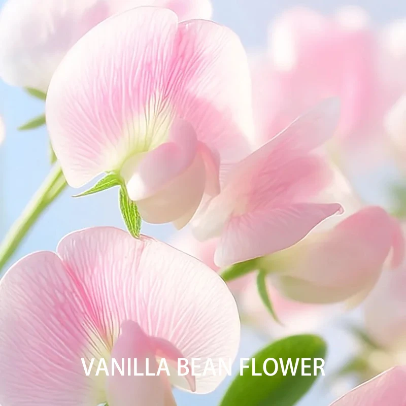 大炸！30ml粉香草豆荚花单方精油